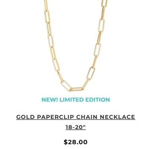 Limited edition Origami Owl necklace